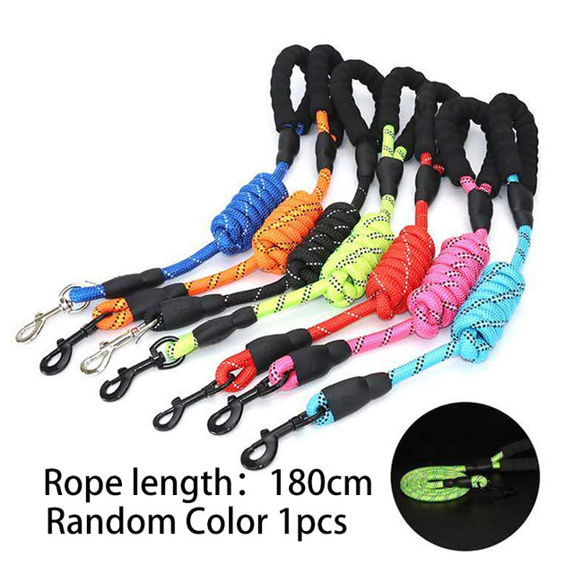 Trendy Tron 1.5M Reflective Dog Leash with Padded Handle
