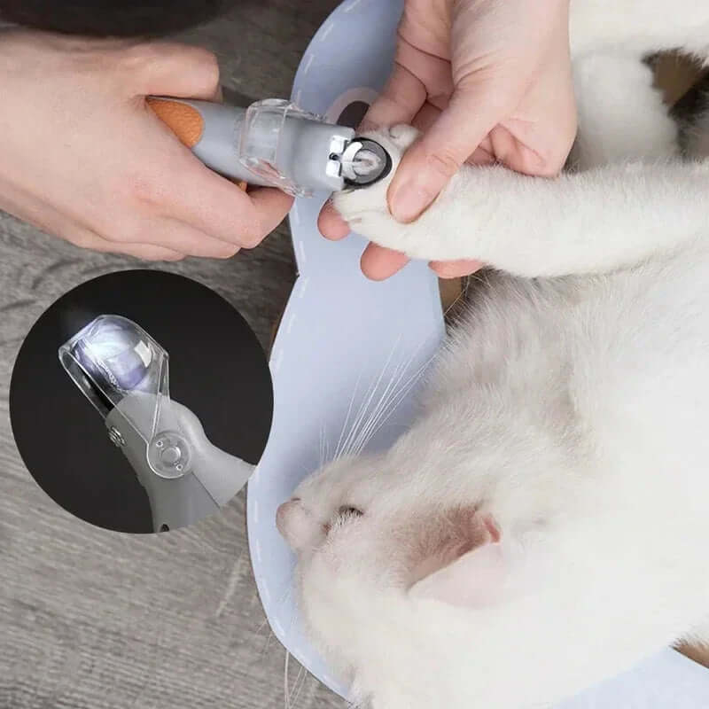 Dog & Cat Nail Clippers with LED Light and Magnifying Glass