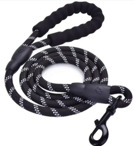 Trendy Tron Reflective Braided Dog Leash
