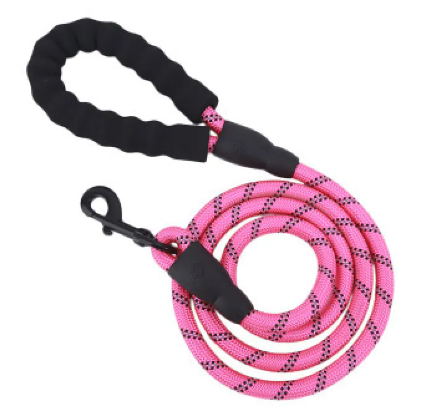 Trendy Tron Reflective Braided Dog Leash