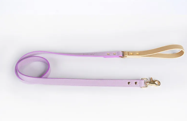 Trendy Tron Leather Dog Leash &amp; Collar