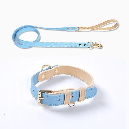 Trendy Tron Leather Dog Leash &amp; Collar
