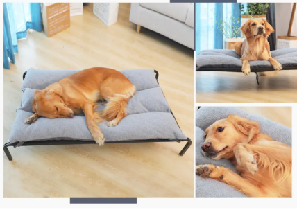 Washable Plush Comfort Dog Bed