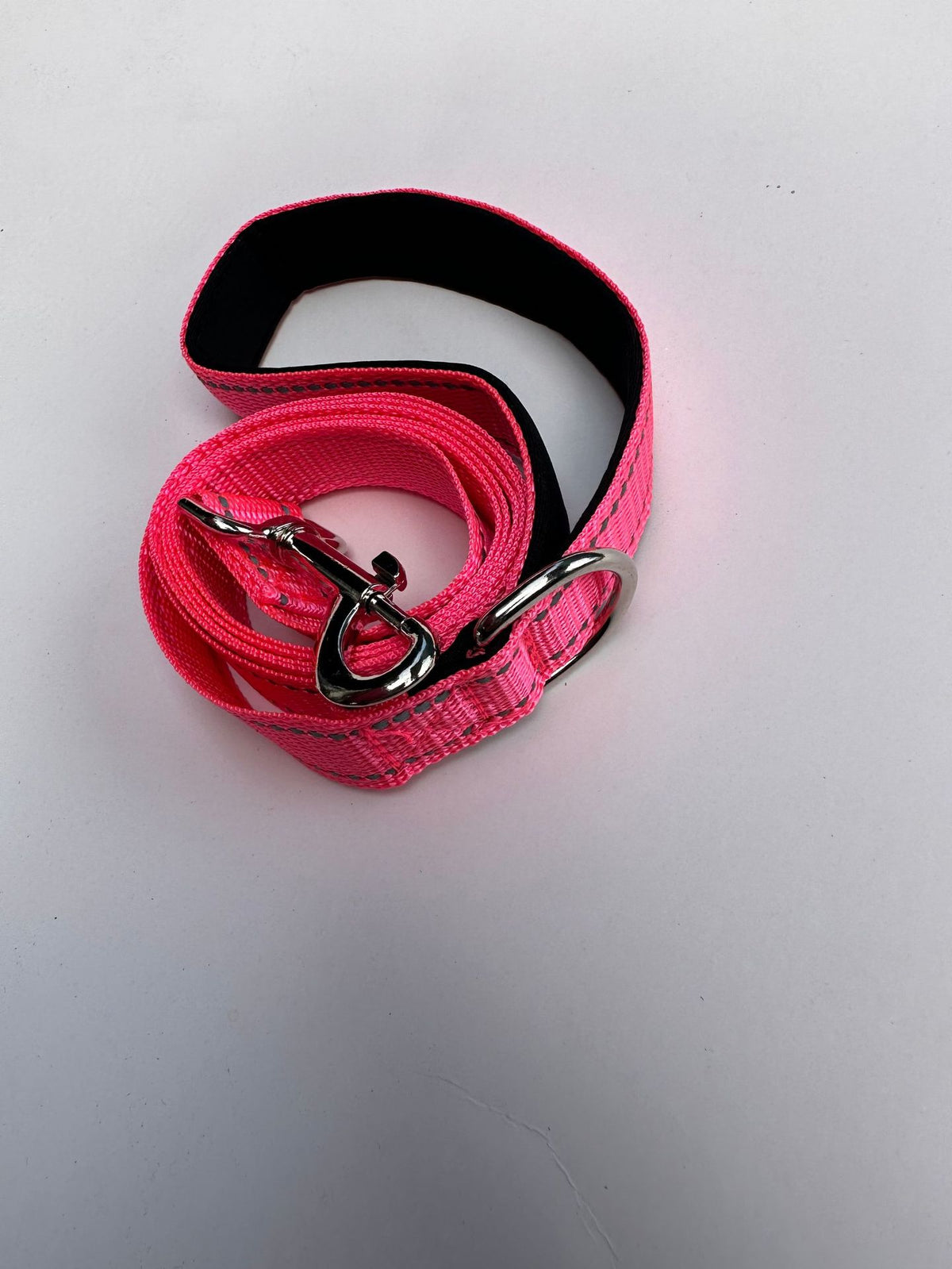 Trendy Tron Reflective Dog Leash with Hand Grip