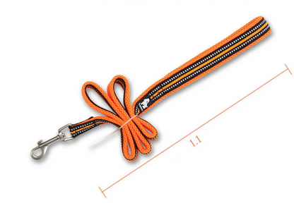 Trendy Tron Premium Pet Dog Leashes