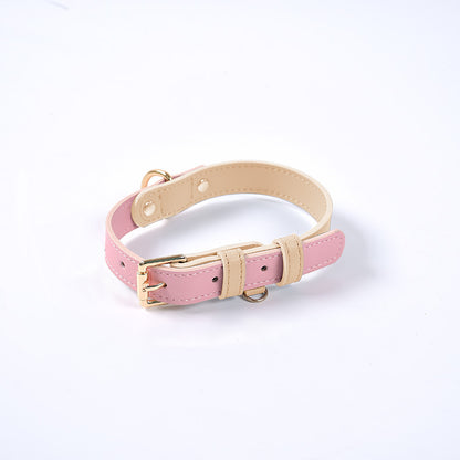 Trendy Tron Leather Dog Leash &amp; Collar
