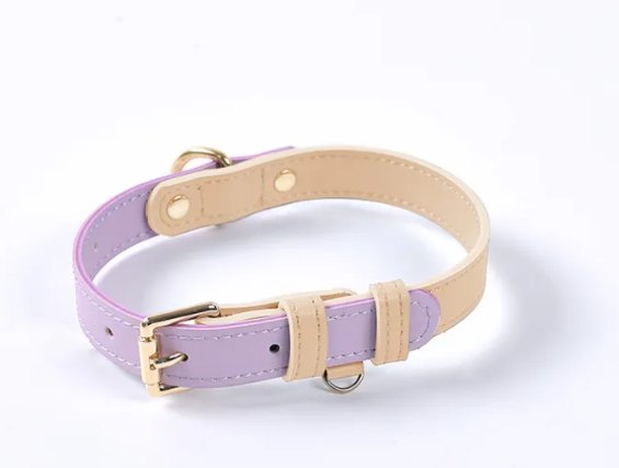 Trendy Tron Leather Dog Leash &amp; Collar
