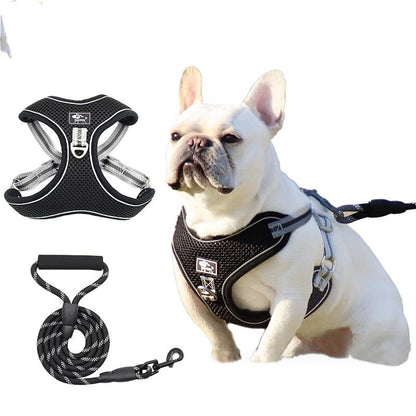 Trendy Tron Reflective and Breathable Dog Leash and Rope
