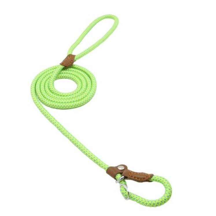 Adjustable Nylon Dog Collar and Leash Set