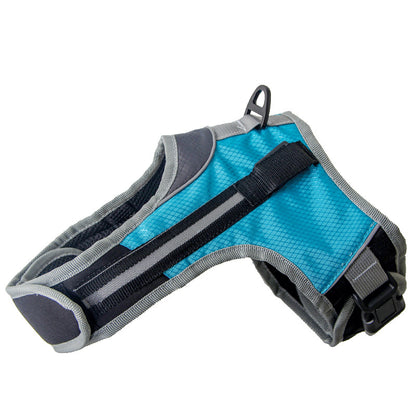 Trendy Tron Pet Dog Leash for Walking and Training