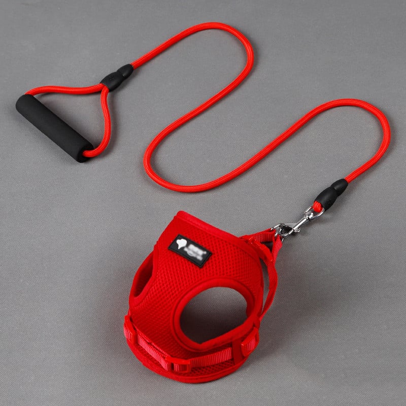 Trendy Tron Dog Leash and Collar Set for Pets