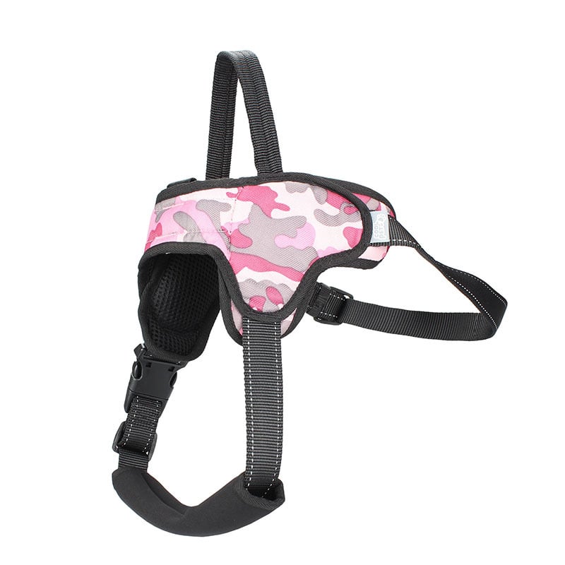 Trendy Tron Medium and Large Dog Leash