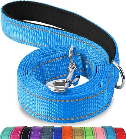 Trendy Tron Reflective Dog Leash with Hand Grip