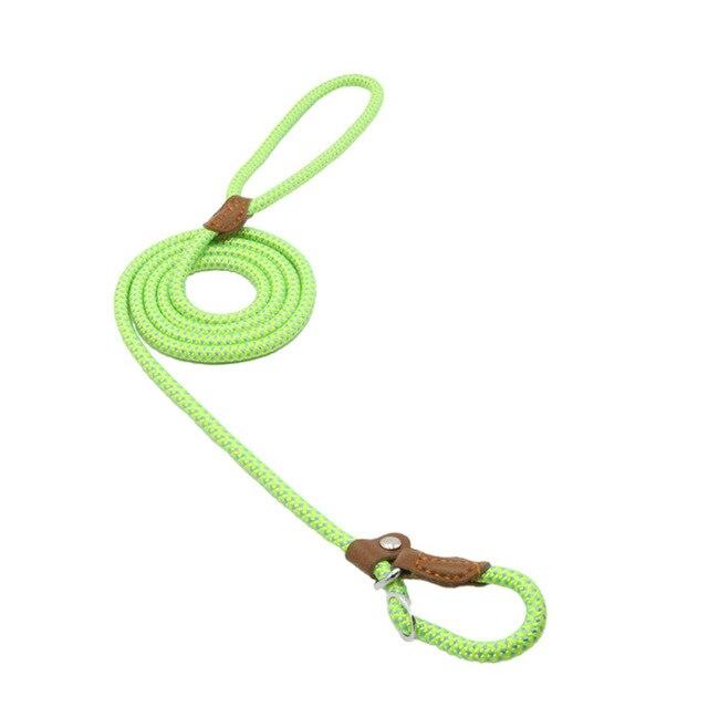 Adjustable Nylon Dog Collar and Leash Set