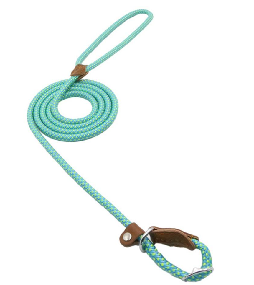 Adjustable Nylon Dog Collar and Leash Set