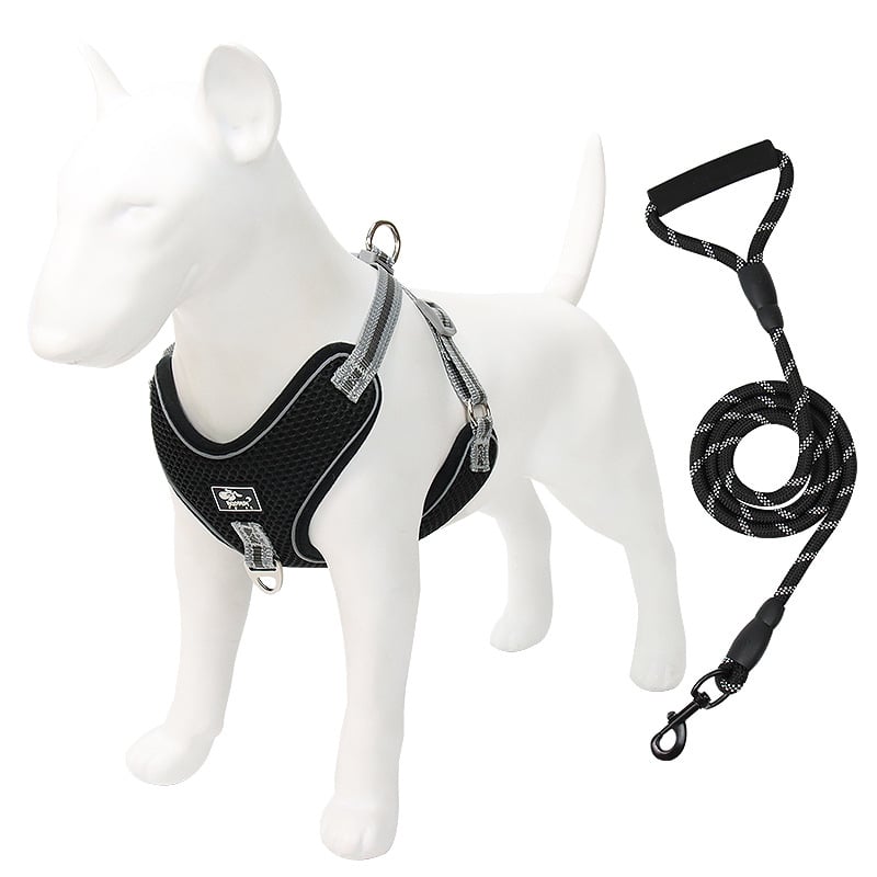Trendy Tron Reflective and Breathable Dog Leash and Rope