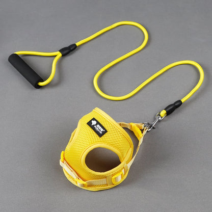 Trendy Tron Dog Leash and Collar Set for Pets
