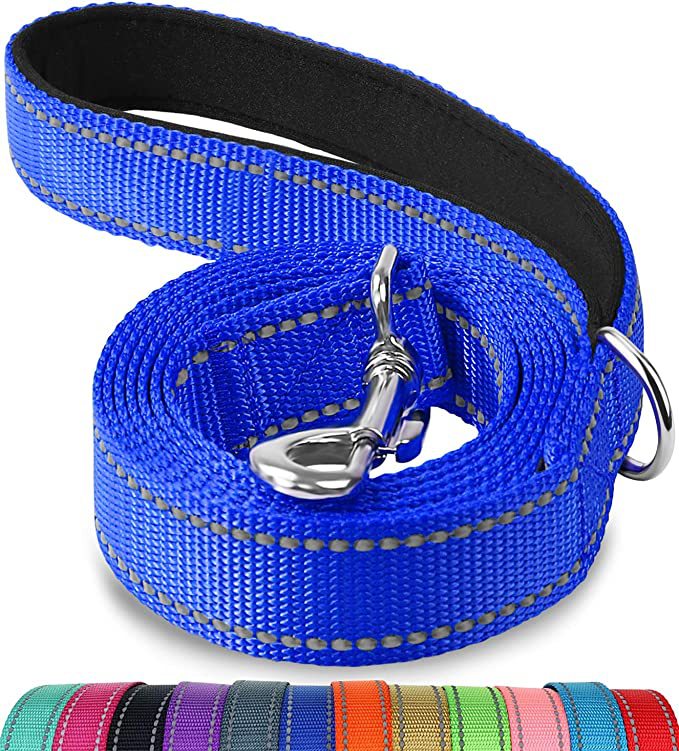 Trendy Tron Reflective Dog Leash with Hand Grip