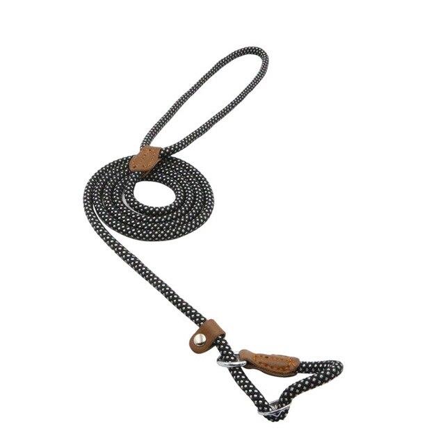 Adjustable Nylon Dog Collar and Leash Set