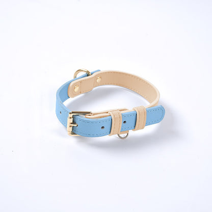 Trendy Tron Leather Dog Leash &amp; Collar