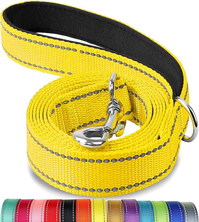 Trendy Tron Reflective Dog Leash with Hand Grip