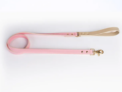 Trendy Tron Leather Dog Leash &amp; Collar
