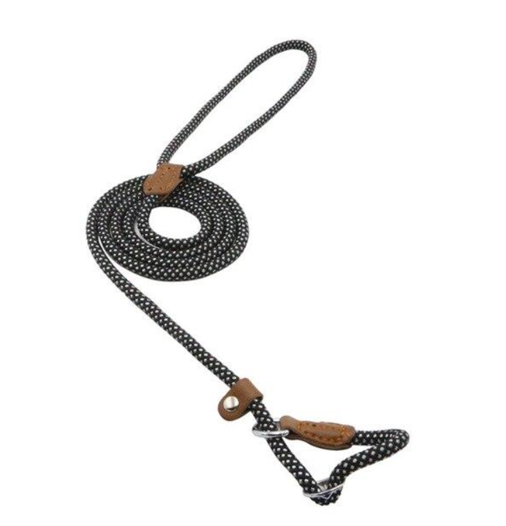Adjustable Nylon Dog Collar and Leash Set
