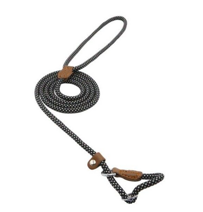 Adjustable Nylon Dog Collar and Leash Set