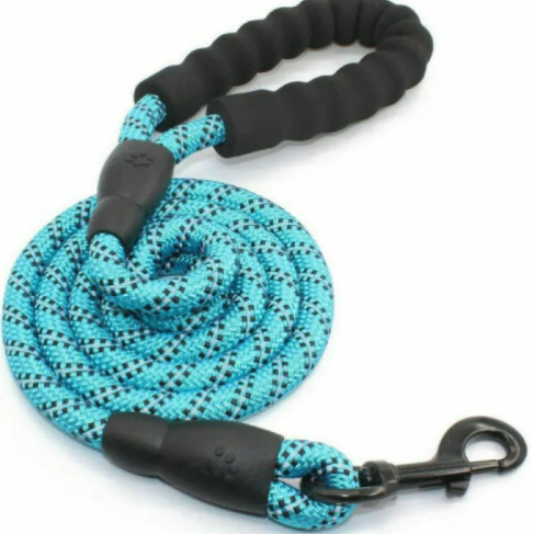 Trendy Tron Reflective Braided Dog Leash