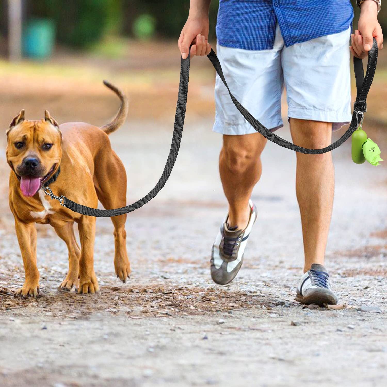 Trendy Tron Reflective Dog Leash with Hand Grip