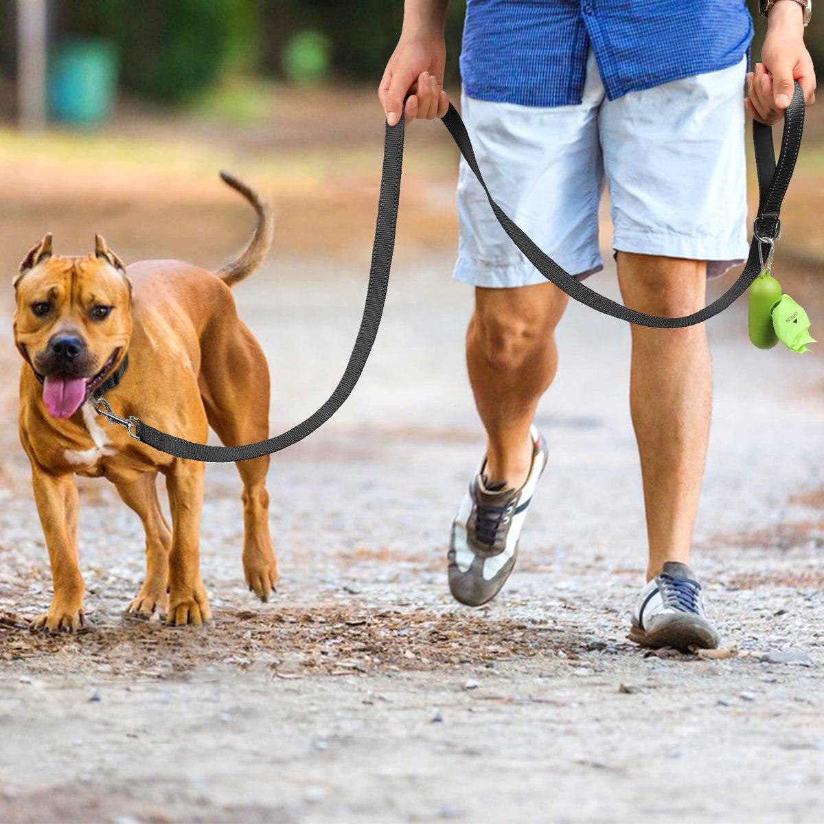 Trendy Tron Reflective Dog Leash with Hand Grip