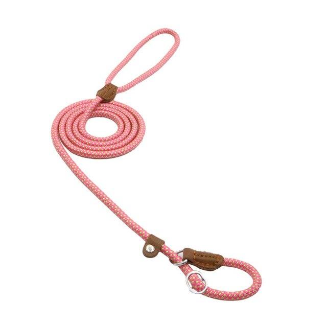 Adjustable Nylon Dog Collar and Leash Set