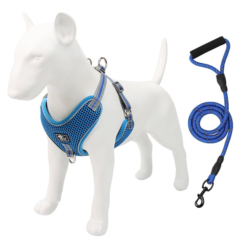 Trendy Tron Reflective and Breathable Dog Leash and Rope
