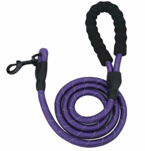 Trendy Tron Reflective Braided Dog Leash