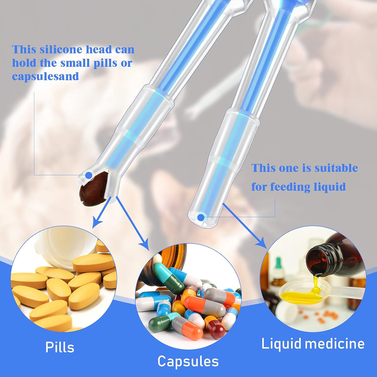 The Stress Free Way To Medicate Your Pet