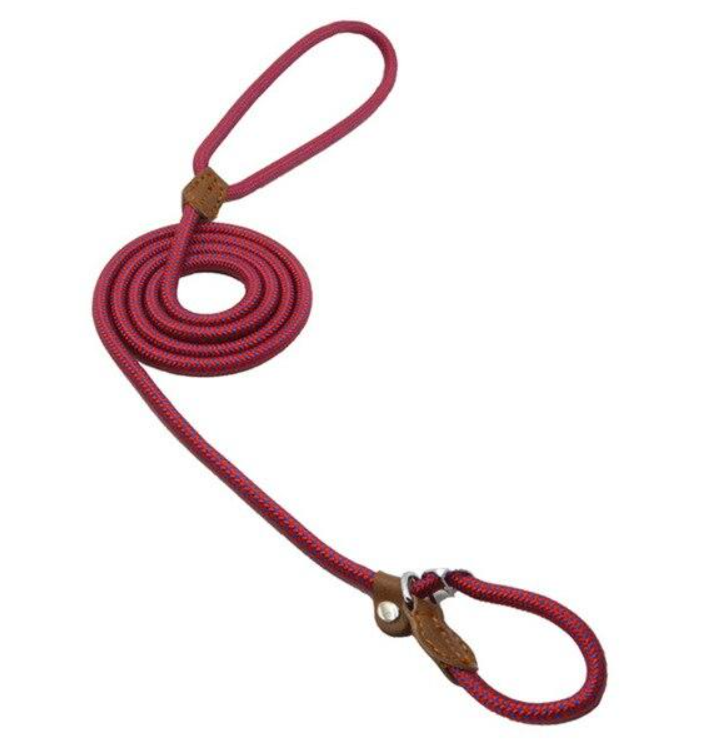 Adjustable Nylon Dog Collar and Leash Set