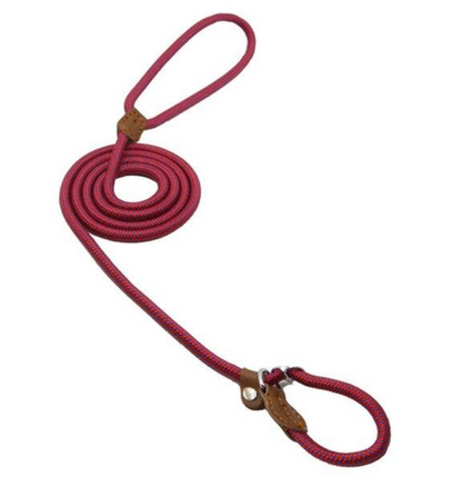 Adjustable Nylon Dog Collar and Leash Set