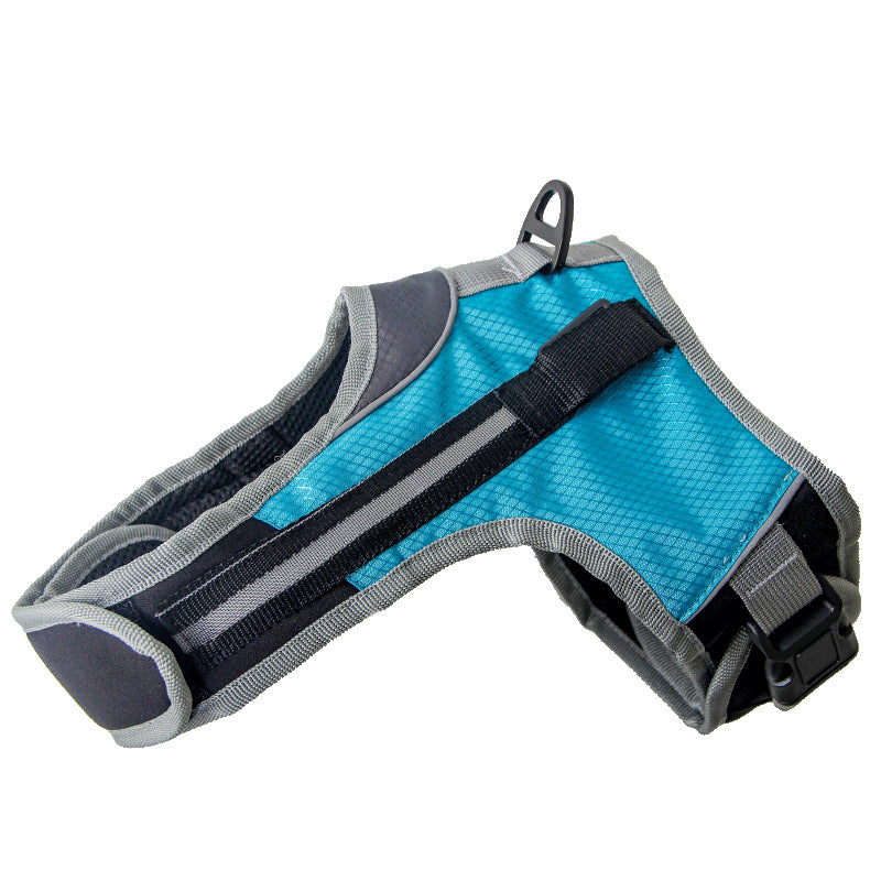 Trendy Tron Pet Dog Leash for Walking and Training