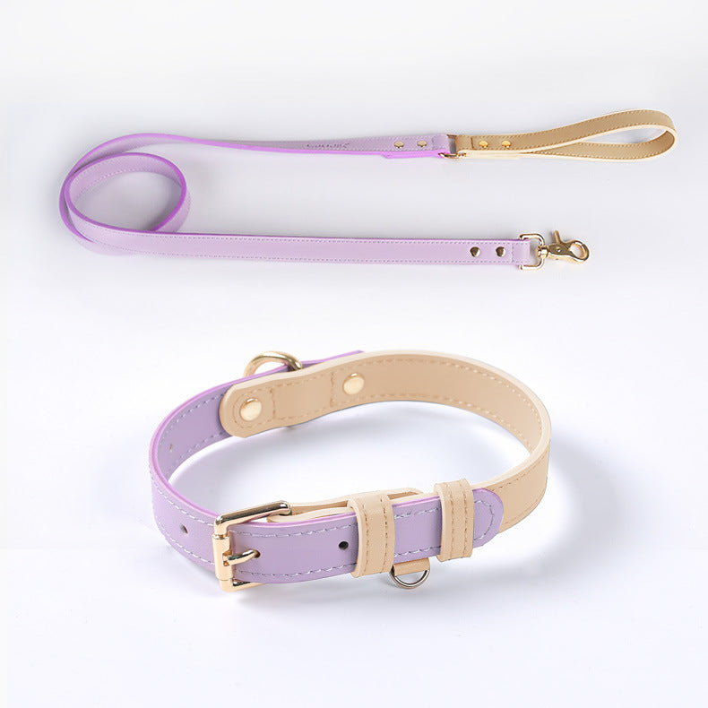 Trendy Tron Leather Dog Leash &amp; Collar
