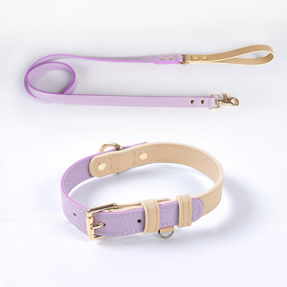 Trendy Tron Leather Dog Leash &amp; Collar
