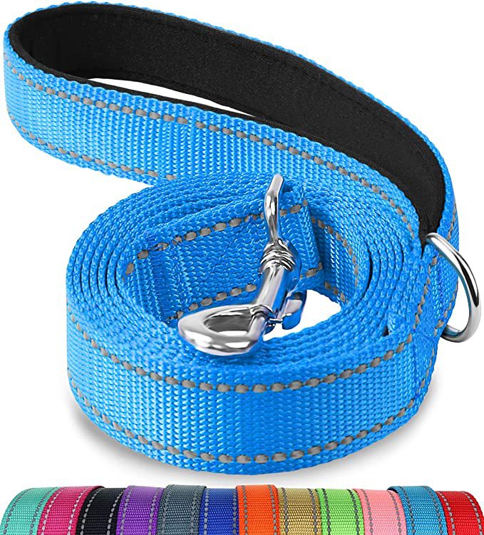 Trendy Tron Reflective Dog Leash with Hand Grip