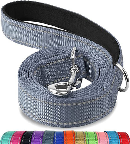 Trendy Tron Reflective Dog Leash with Hand Grip