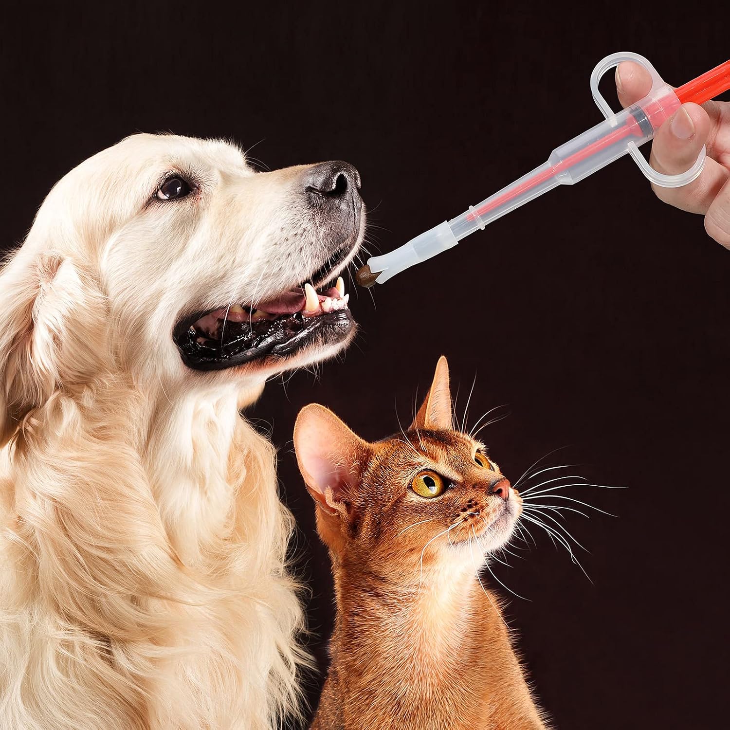 The Stress Free Way To Medicate Your Pet