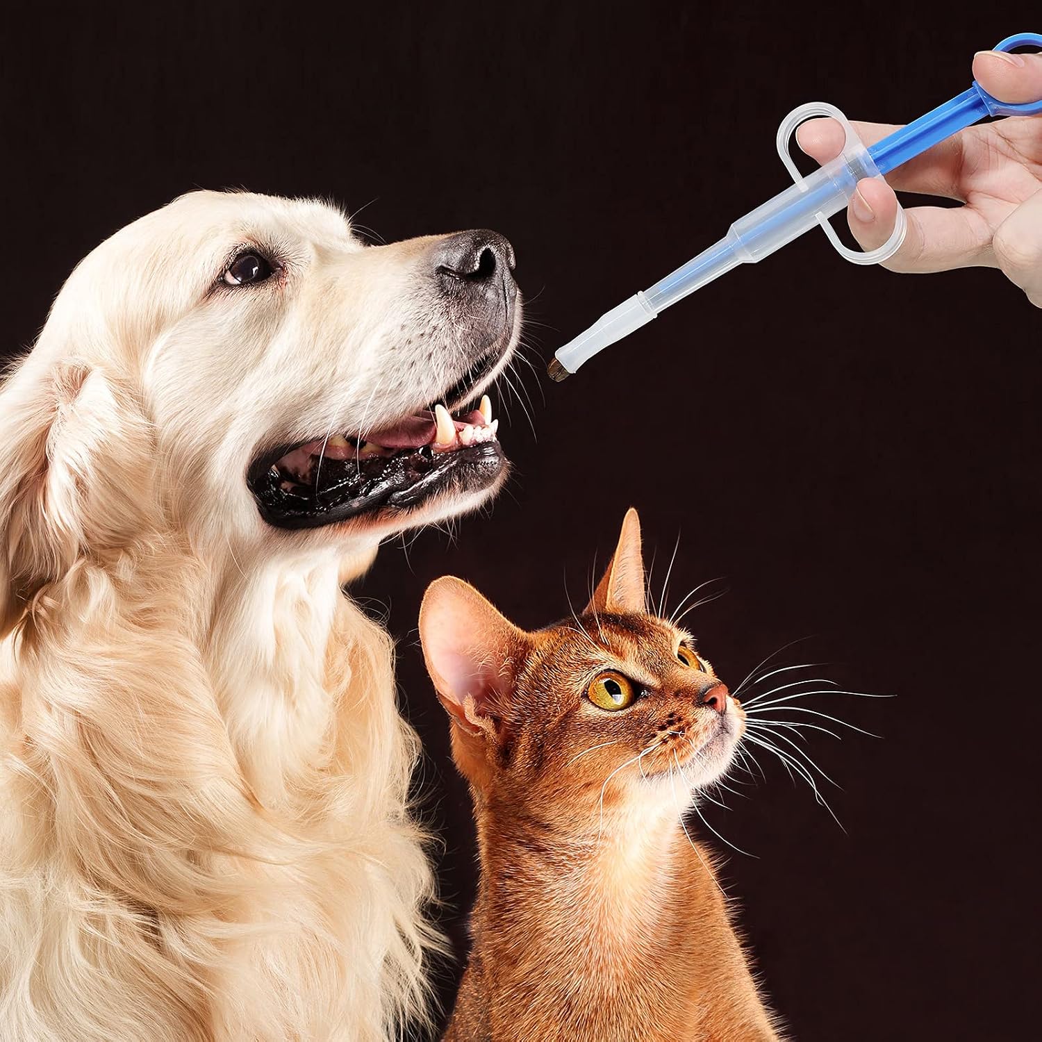 The Stress Free Way To Medicate Your Pet