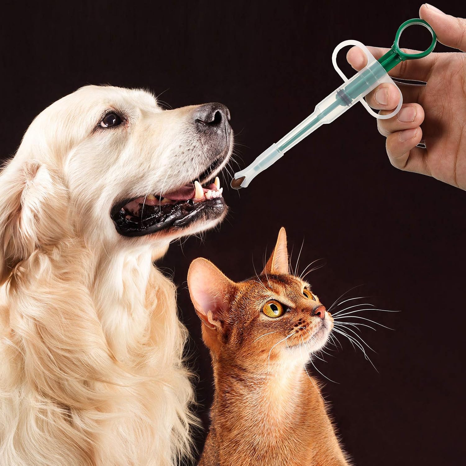 The Stress Free Way To Medicate Your Pet