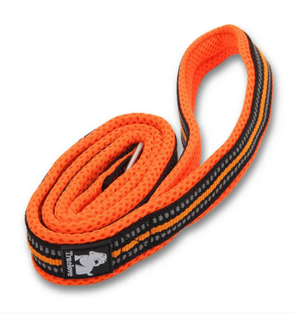 Trendy Tron Premium Pet Dog Leashes