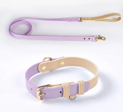 Trendy Tron Leather Dog Leash &amp; Collar