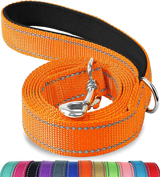 Trendy Tron Reflective Dog Leash with Hand Grip