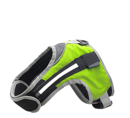Trendy Tron Pet Dog Leash for Walking and Training
