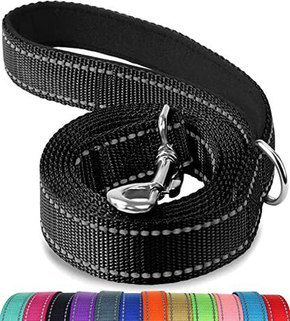 Trendy Tron Reflective Dog Leash with Hand Grip